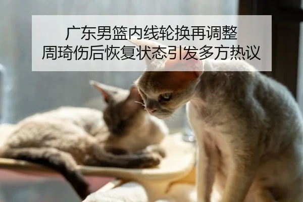广东男篮内线轮换再调整 周琦伤后恢复状态引发多方热议